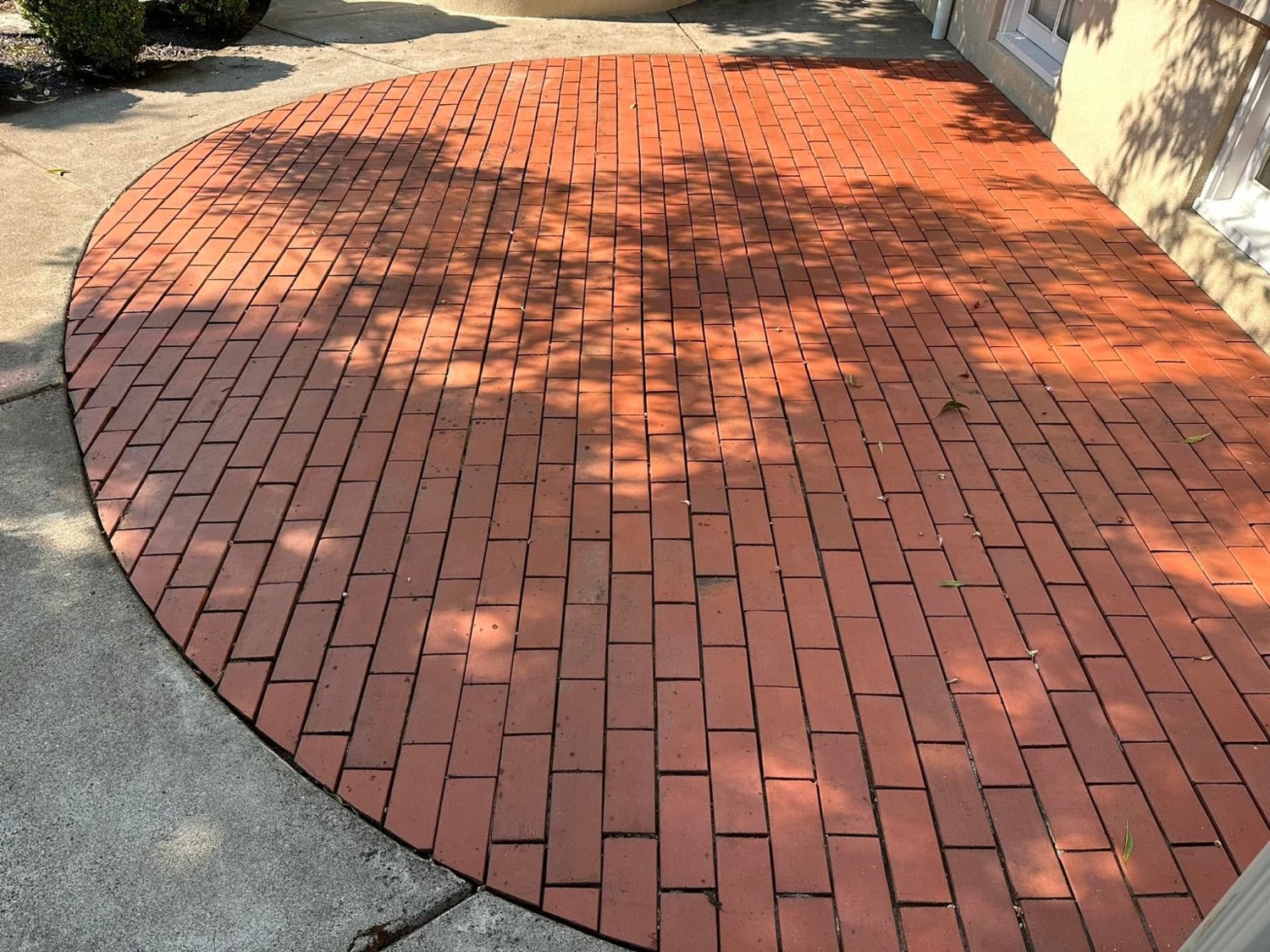 Brick patio after cleaning