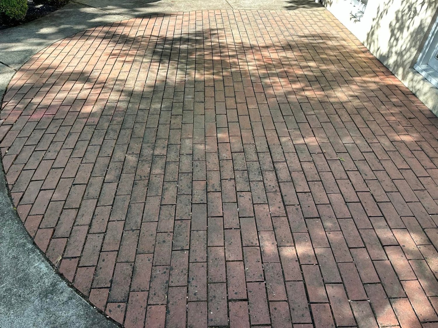 Brick patio before cleaning