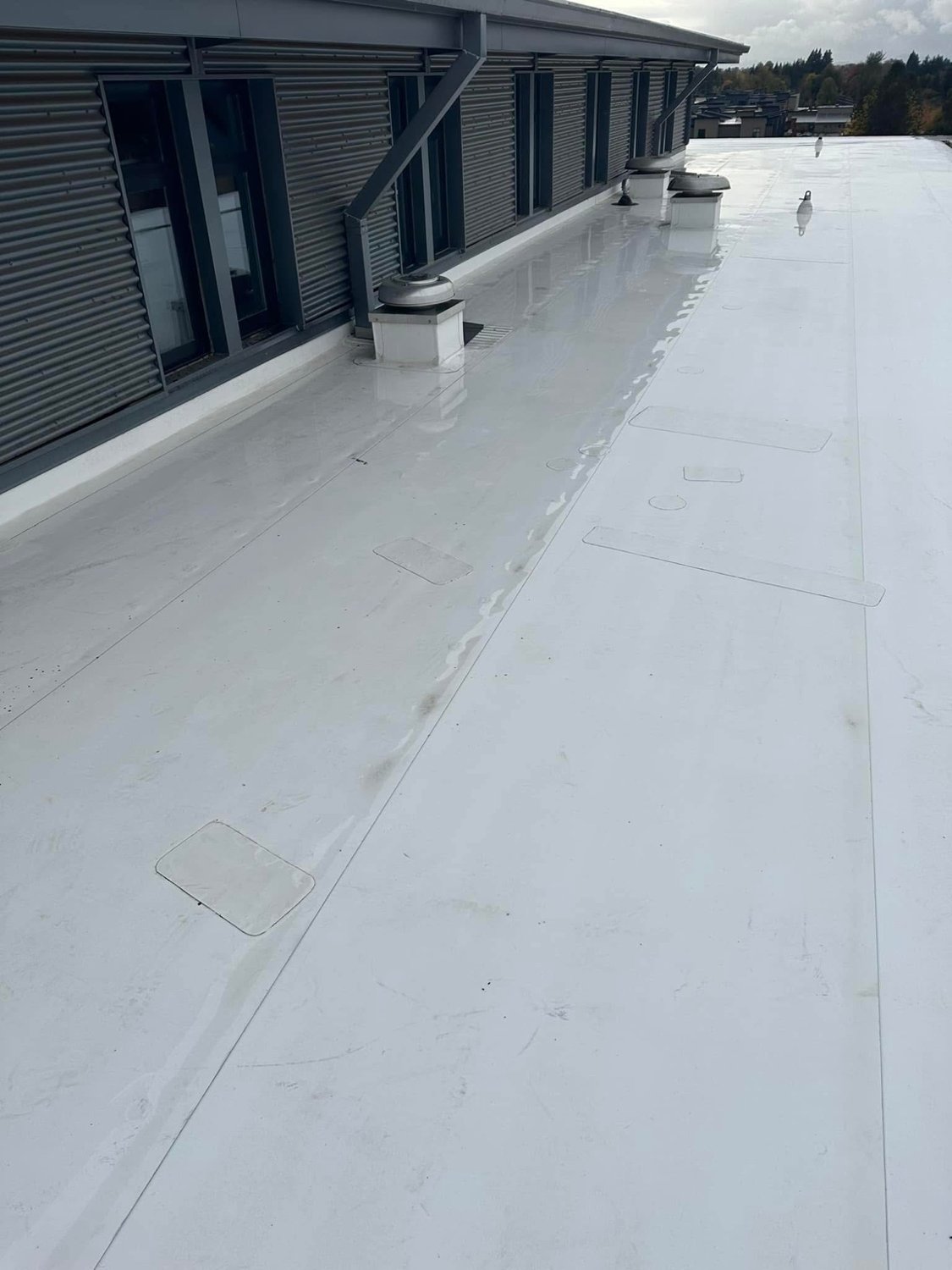 Commercial roof after cleaning
