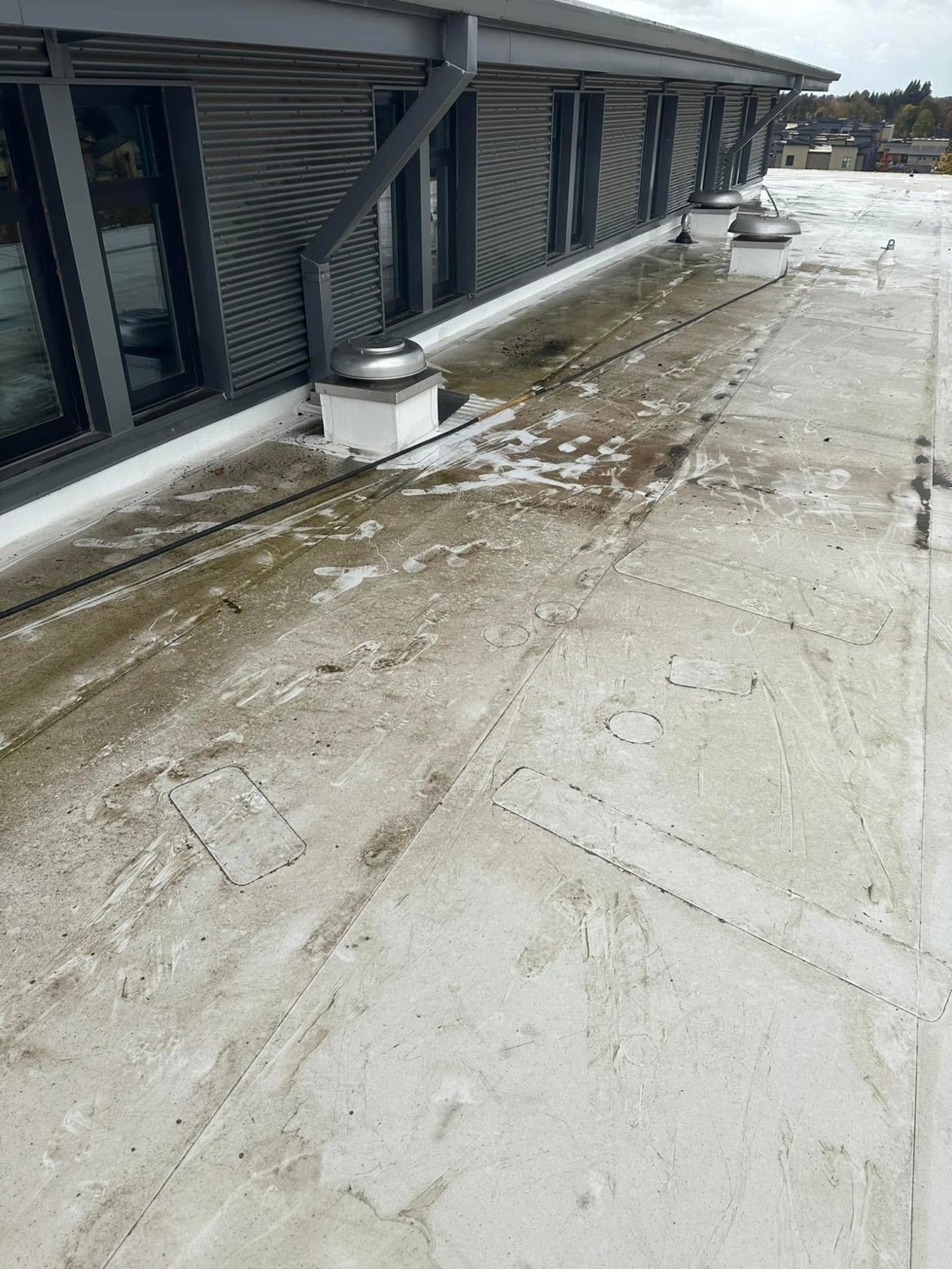 Commercial roof before cleaning