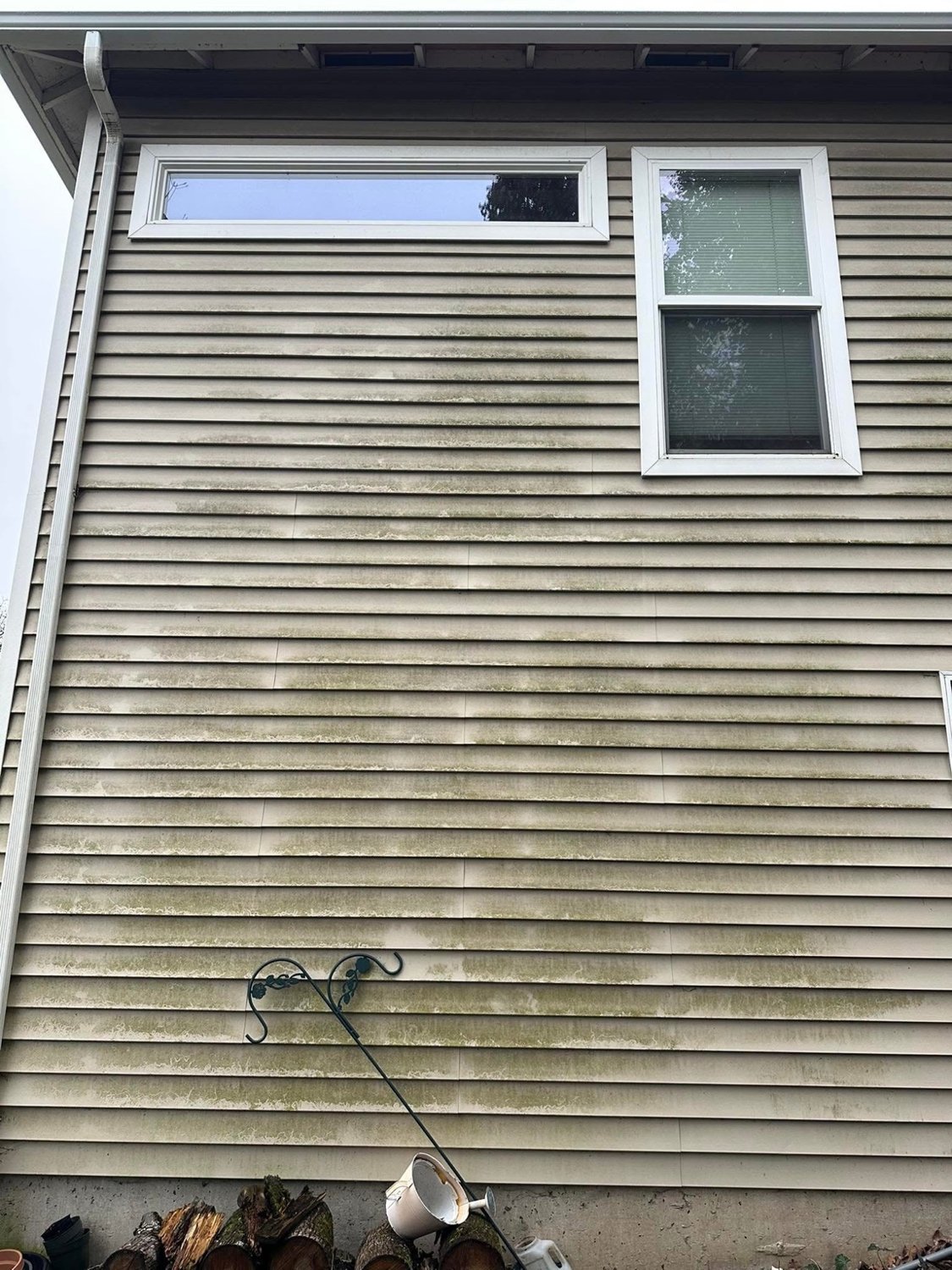 Siding before cleaning