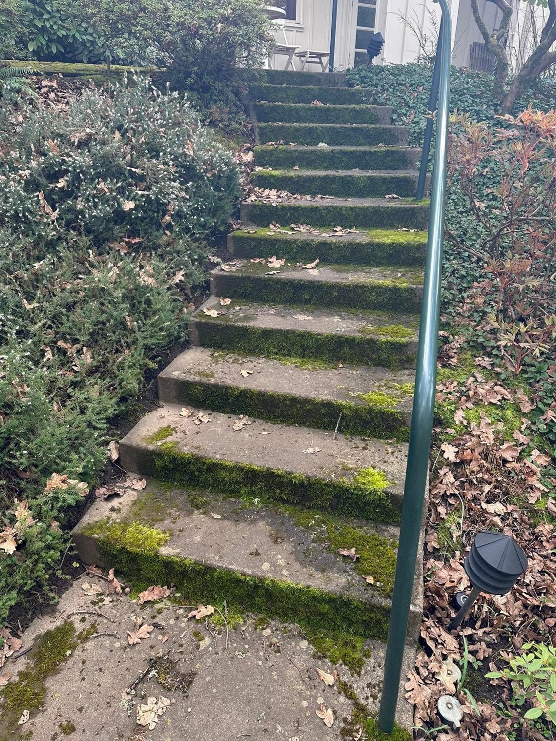 Steps with moss before cleaning